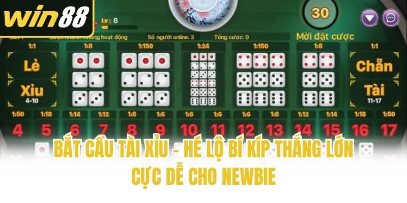 Bắt Cầu Tài Xỉu - Hé Lộ Bí Kíp Thắng Lớn Cực Dễ Cho Newbie