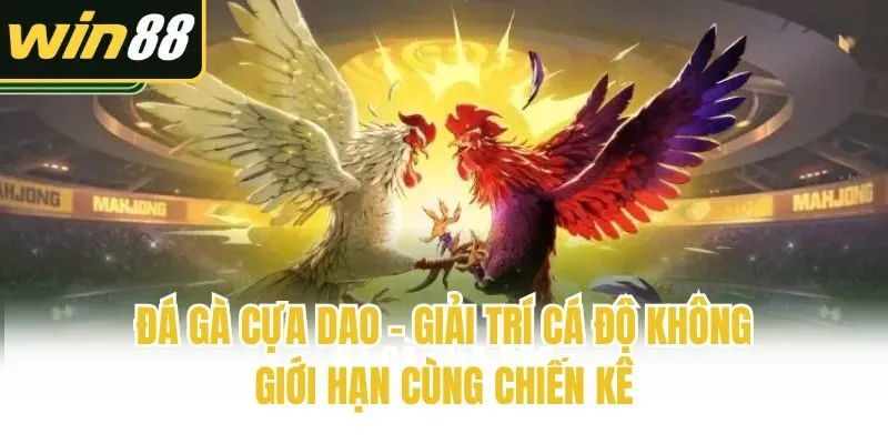Đá Gà Cựa Dao - Giải Trí Cá Độ Không Giới Hạn Cùng Chiến Kê